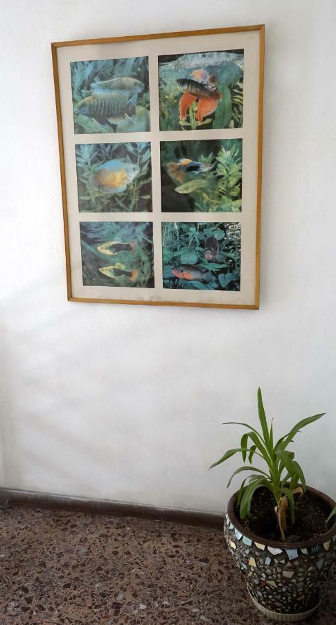 Dream Acropolis Flat